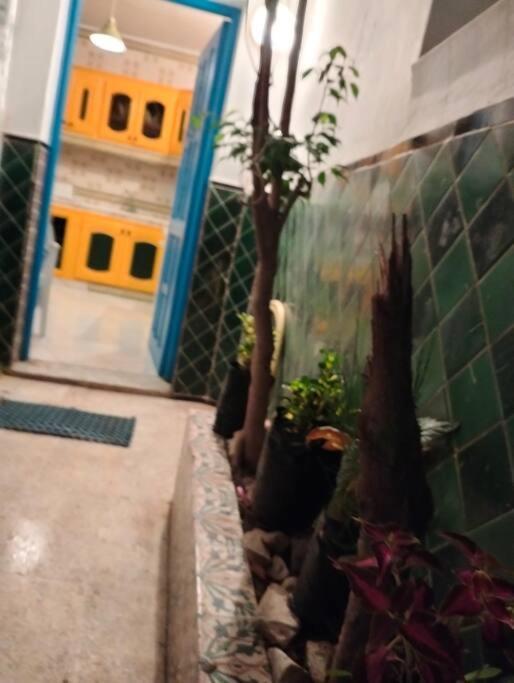 Villa Coup De Coeur A Sidi Bou Ali Exterior foto